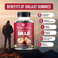 SoNatural Honey & Ginger Shilajit Gummies