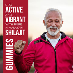 SoNatural Honey & Ginger Shilajit Gummies